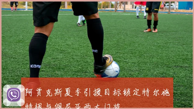 阿贾克斯夏季引援目标锁定特尔施特根与佩尼亚两大门将